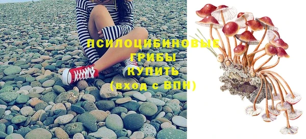шишки Михайловск