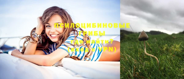 соль ск Михайловка