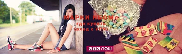 шишки Михайловск