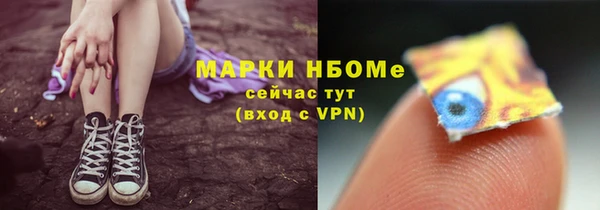 шишки Михайловск