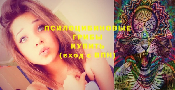 a pvp Надым
