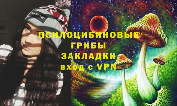 a pvp Надым