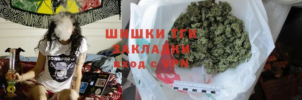 шишки Михайловск