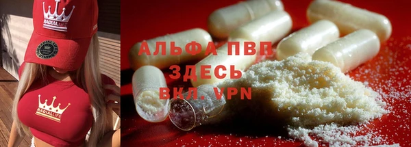 шишки Михайловск