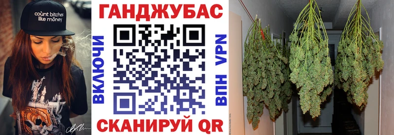 закладка  Тырныауз  Каннабис индика 
